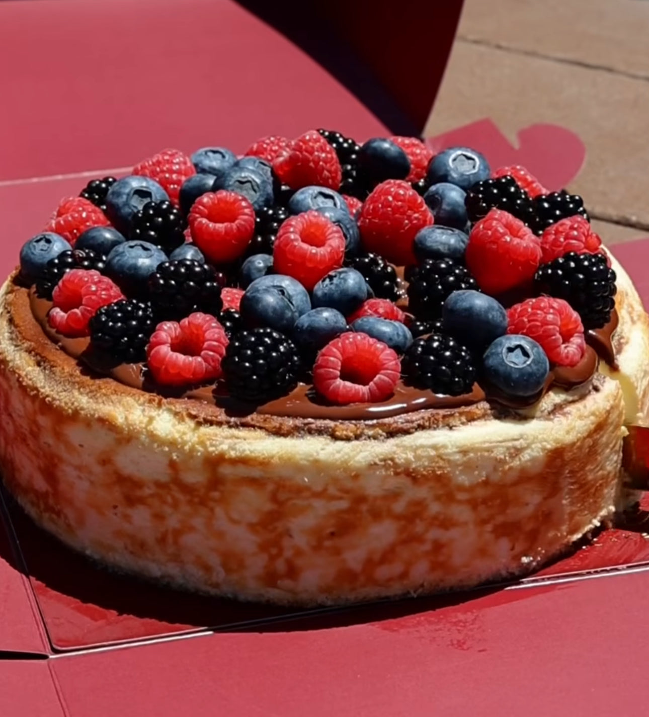 Classic Burnt Basque Cheesecake - Raspberries Crown & Chocolate Sauce